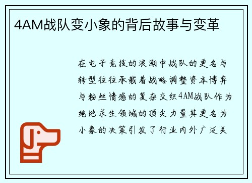 4AM战队变小象的背后故事与变革