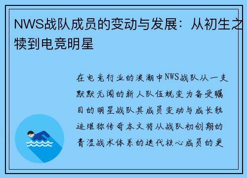NWS战队成员的变动与发展：从初生之犊到电竞明星